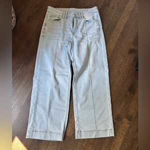 American Eagle low rise baggy wide leg with front seam.